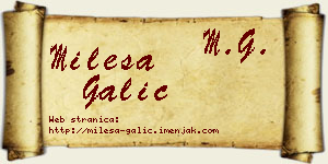 Milesa Galić vizit kartica